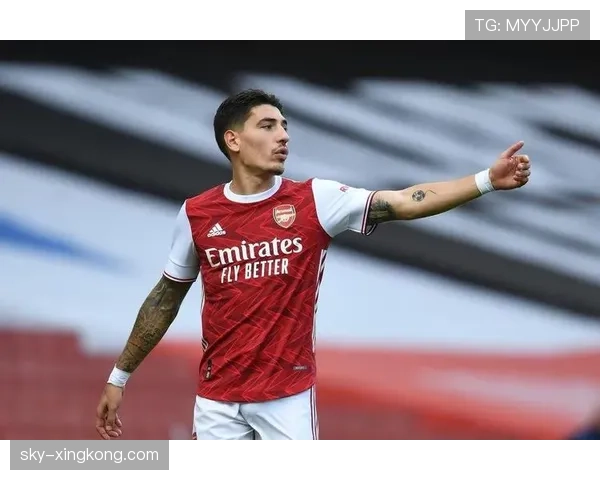 内维斯作为英超长期主力队长的职业上限与能力边界解析